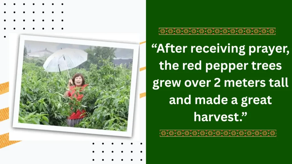 red pepper trees grew