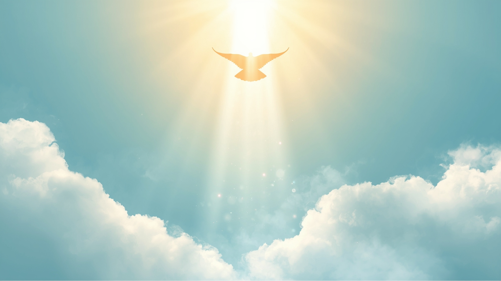 Bible Study Level 2: Life in the Spirit