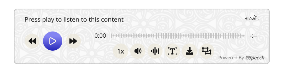 Audio player interface with controls